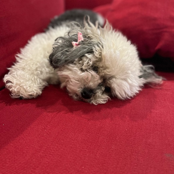 Meet your Posher, Oliviaodc - Picture 5 of 10